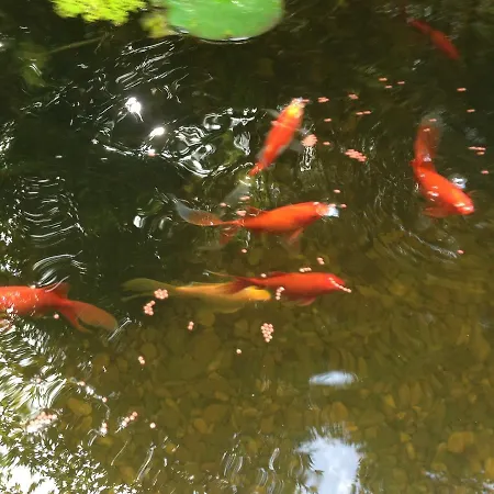 Silvia Krafts Δωμάτια σε οικογενειακή κατοικία