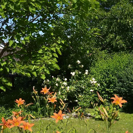 Silvia Krafts * Schallstadt