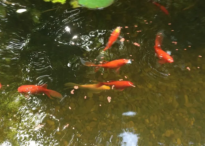 Silvia Krafts 民宿