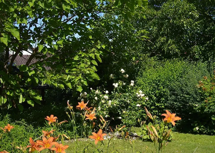 Silvia Krafts * 萨斯塔德特